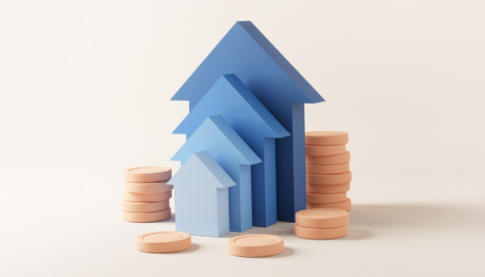Investment Opportunities