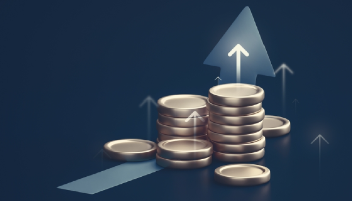 Why Finance Incubator